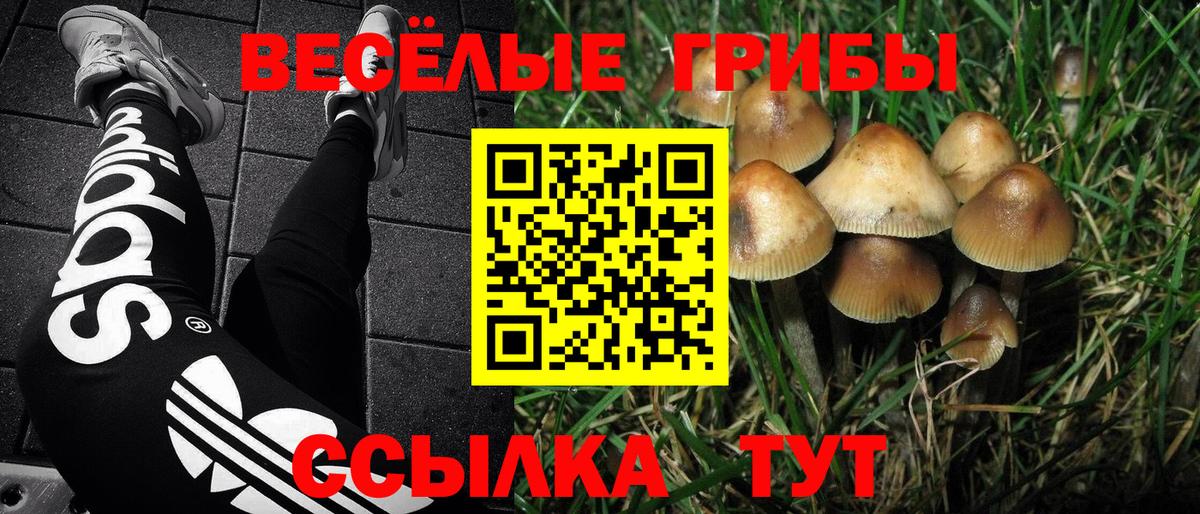 Псилоцибиновые грибы MAGIC MUSHROOMS Дагестанские Огни