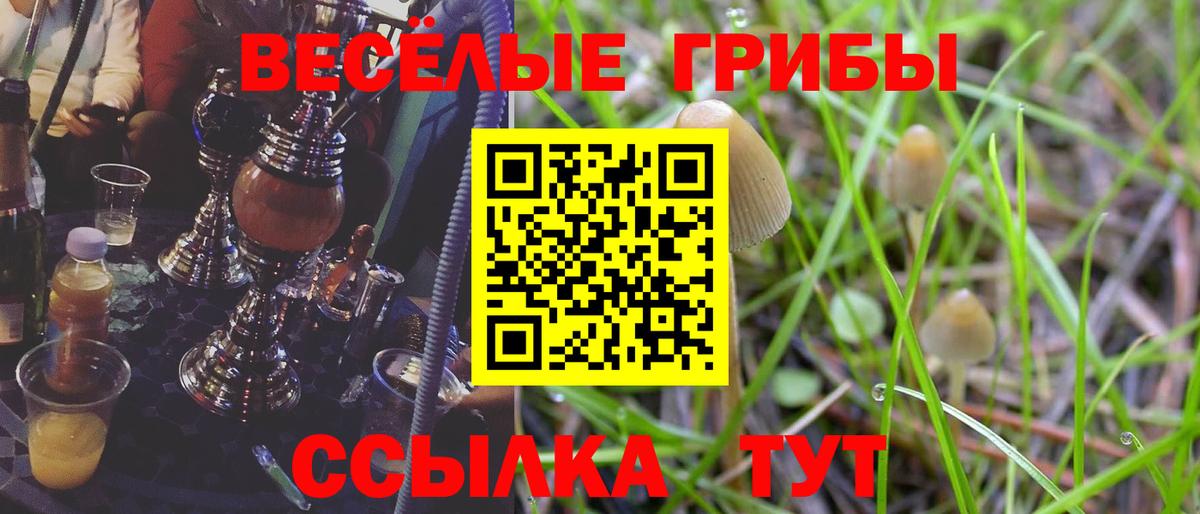 Дагестанские Огни  Галлюциногенные грибы Psilocybe  Псилоцибиновые грибы ЛСД  Вход с VPN 